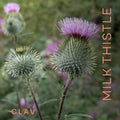 Organic Milk Thistle Complex Mood Image